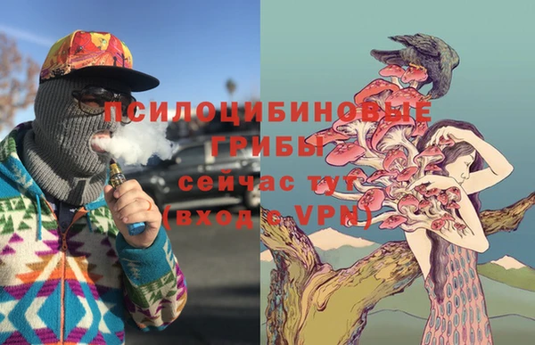 крисы Костерёво