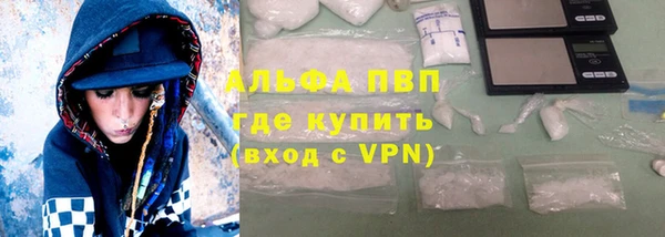 PSILOCYBIN Коряжма