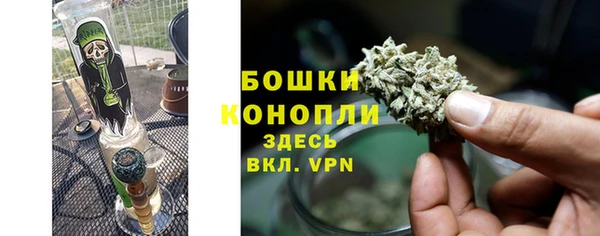 крисы Костерёво
