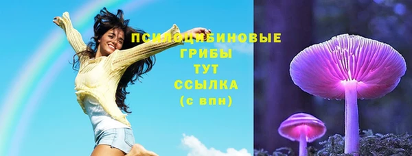 PSILOCYBIN Коряжма