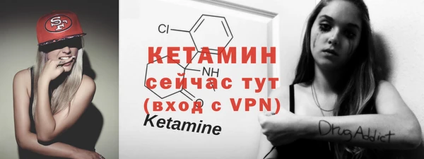 прущие грибы Корсаков