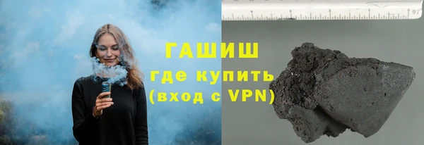 прущие грибы Корсаков