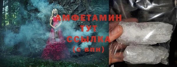 прущие грибы Корсаков