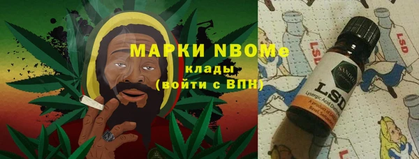 прущие грибы Корсаков