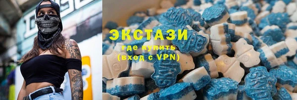 прущие грибы Корсаков
