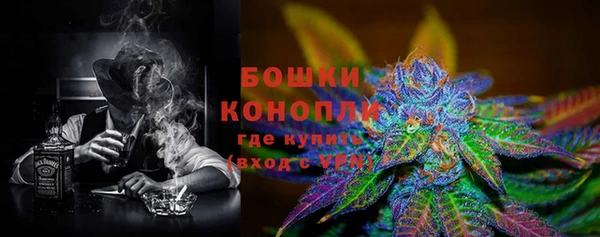 крисы Костерёво