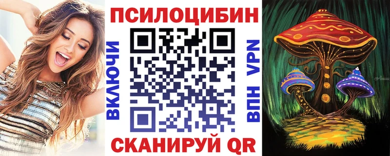 Псилоцибиновые грибы Cubensis  Купить  Углич 